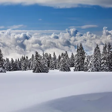シャレー Steps From Slopes